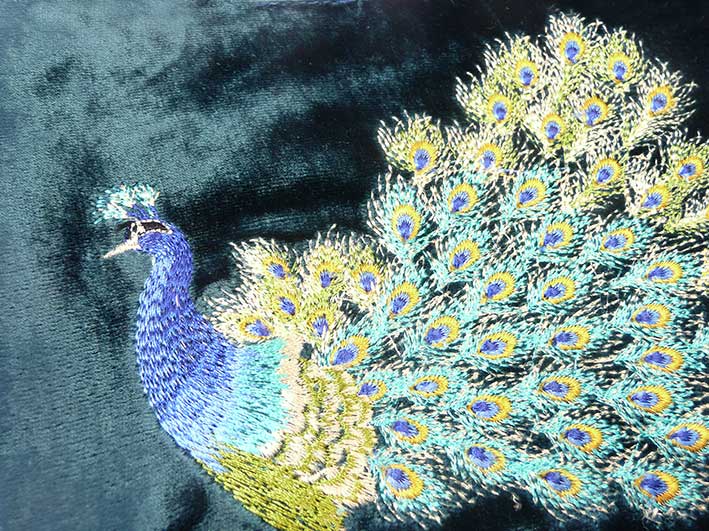 Velvet Peacock
