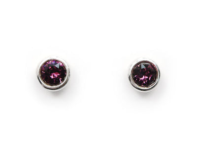 Birthstone Stud Earrings - February