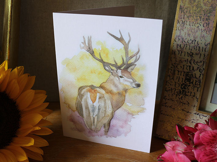 Greetings Card - Wildlife set of 5