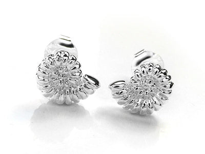 Silver Earrings - Ammonite