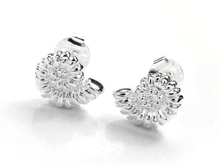 Silver Earrings - Ammonite